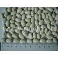 White Kidney Bean with Good Quality